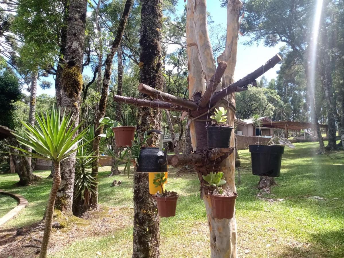 Quartos Recanto Da Natureza Interior Canela Ngoại thất bức ảnh