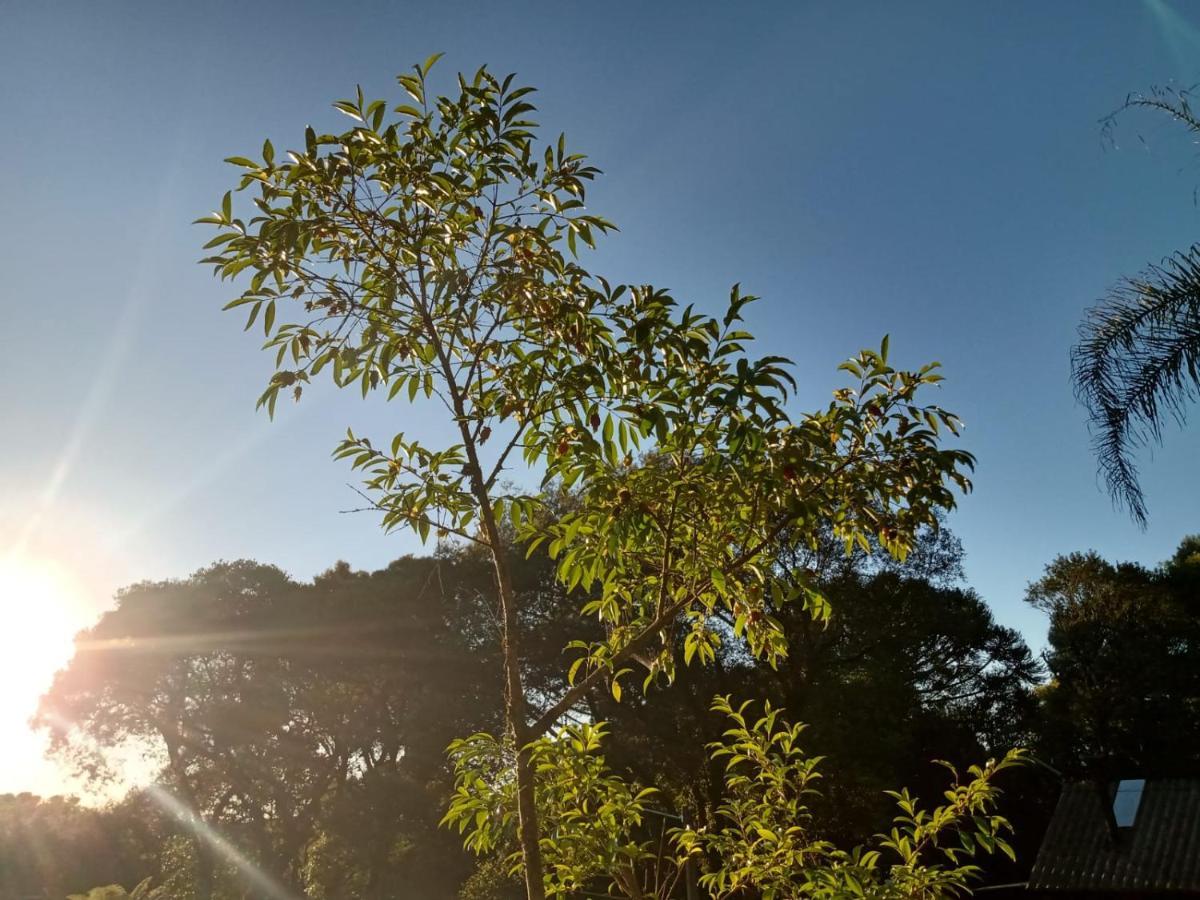 Quartos Recanto Da Natureza Interior Canela Ngoại thất bức ảnh