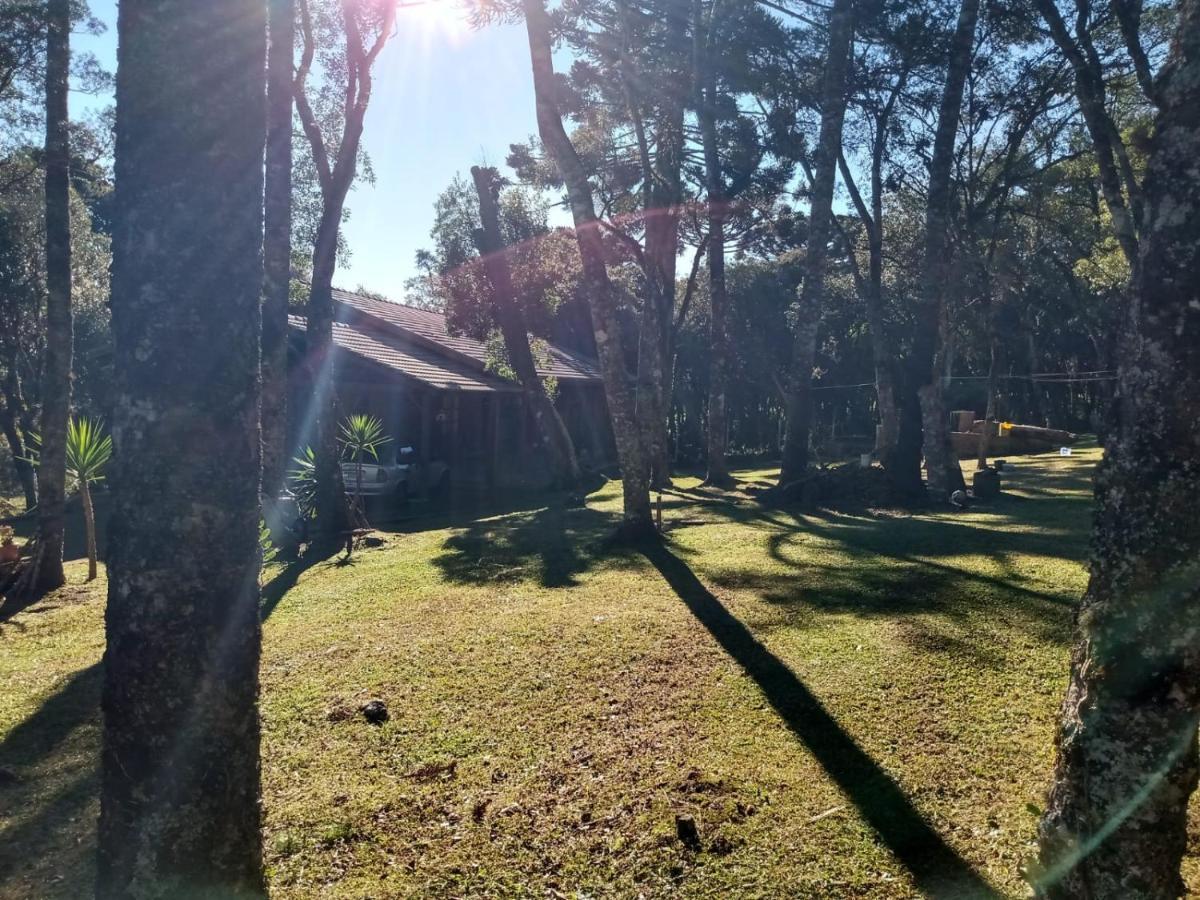 Quartos Recanto Da Natureza Interior Canela Ngoại thất bức ảnh
